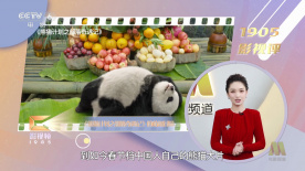 亚洲精品美腿丝袜国产一区